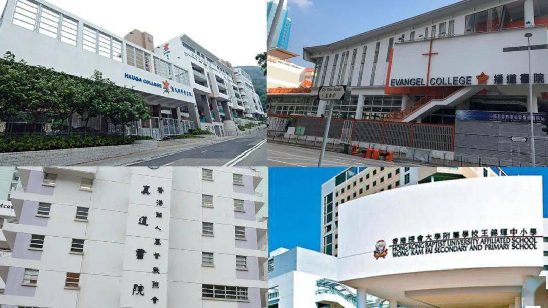 香港免費(fèi)公開資料大全，一網(wǎng)打盡香港各類資源，香港資源大全，免費(fèi)公開資料一網(wǎng)打盡