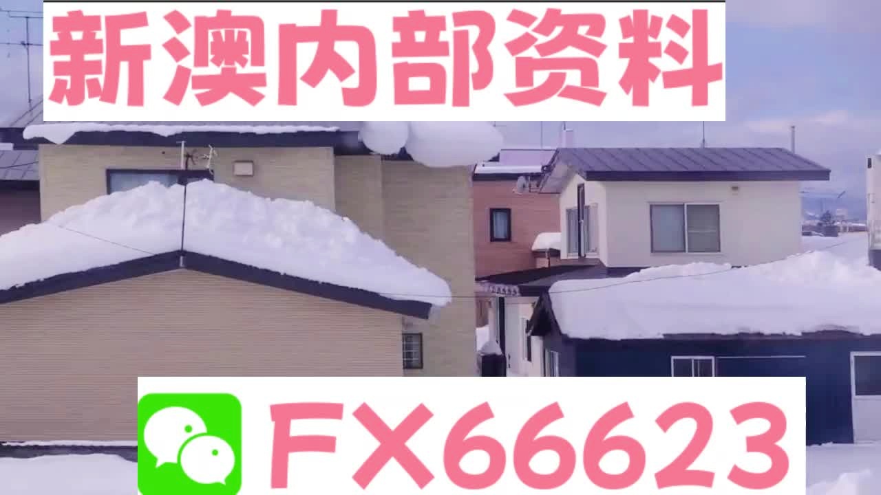 『深度解析』，2025新澳精準資料大全詳解，深度解析，2025新澳精準資料大全詳解與指南