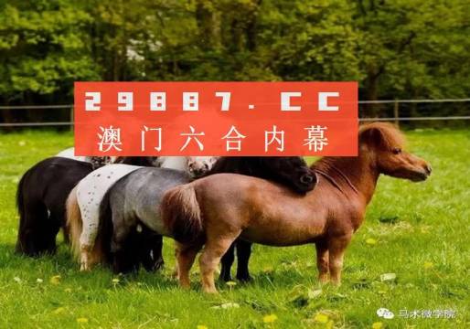 四不像今晚必中一肖4006，揭秘彩票背后的神秘面紗，揭秘彩票背后的神秘面紗，四不像今晚必中一肖4006揭曉真相！