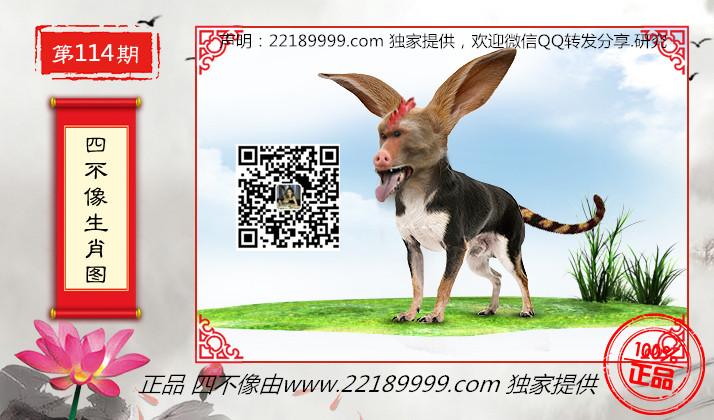 四不像正版資料查看，深度解析與實用指南，四不像正版資料深度解析與實用指南