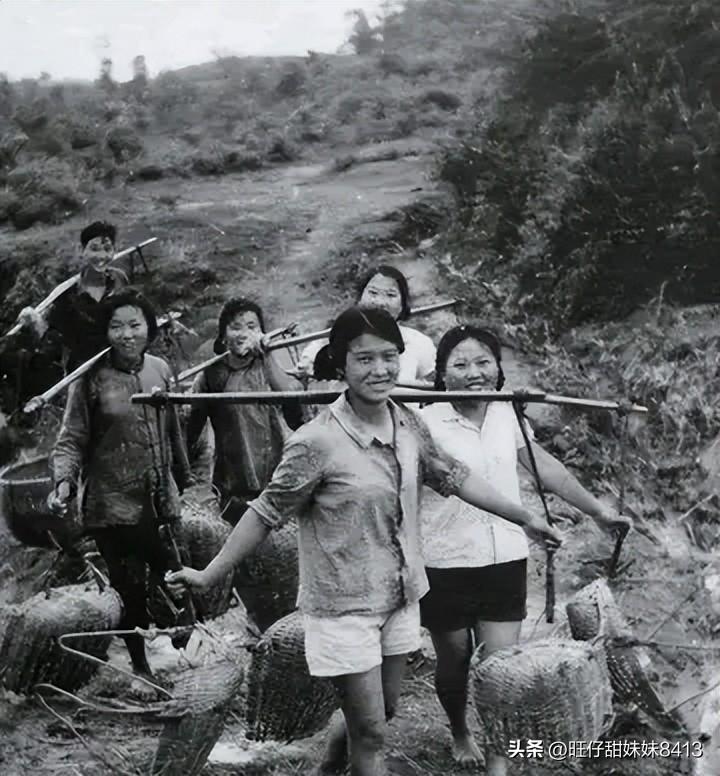 免費(fèi)下載49圖庫(kù)最新版本，全面指南與深度解析，免費(fèi)下載圖庫(kù)最新版本，全面指南與深度解析攻略