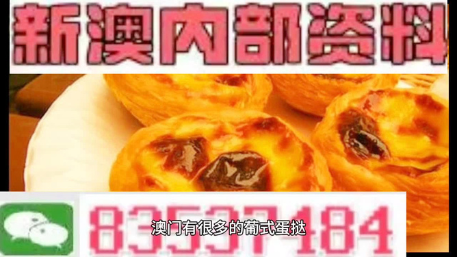 新澳今天最新資料解析，新澳今日最新資料深度解析