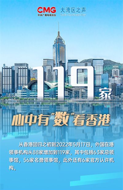 香港資料大全，正版資料下載手機(jī)2025年，香港資料大全2025年正版手機(jī)下載指南