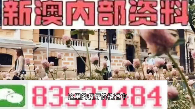 澳門最精準(zhǔn)免費(fèi)資料大全旅游團(tuán)——探索澳門魅力的絕佳選擇，澳門旅游團(tuán)，探索澳門魅力的精準(zhǔn)免費(fèi)資料大全