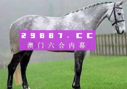 全新上線！49澳門彩圖庫app，開啟你的彩票新紀(jì)元，49澳門彩圖庫app全新上線，開啟彩票新紀(jì)元之門