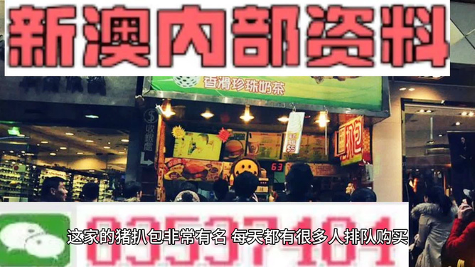 揭秘2025新澳精準(zhǔn)資料大全，深度解析與探索，揭秘2025新澳精準(zhǔn)資料大全，深度探索與解析報告