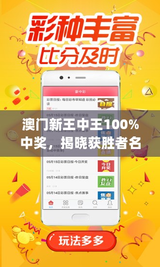 揭秘新澳門(mén)王中王，期期中神話的背后，揭秘新澳門(mén)王中王期期中神話真相