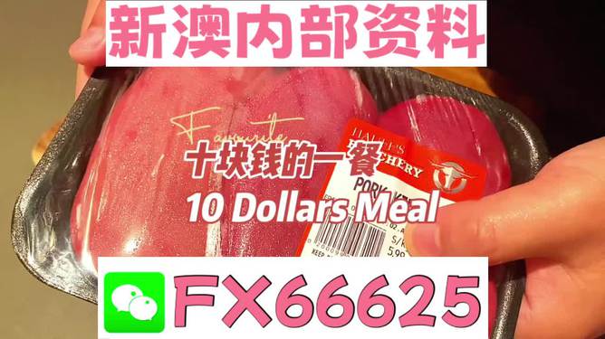 揭秘2025新奧精準(zhǔn)正版資料，全方位解讀與深度洞察，揭秘2025新奧精準(zhǔn)正版資料，全方位解讀與深度洞察揭秘真相