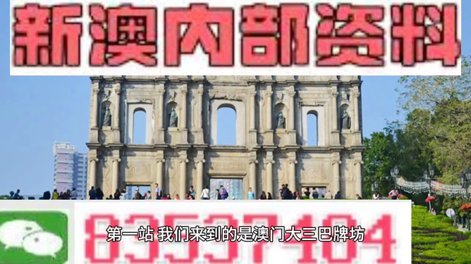 新澳2025年正版資料深度解析，新澳2025年正版資料深度剖析
