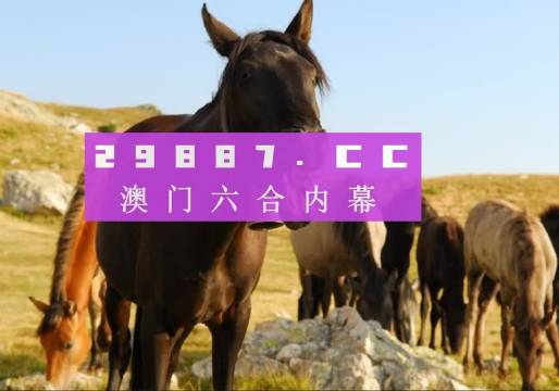澳門(mén)管家婆一肖一碼，揭秘背后的秘密與真相，澳門(mén)管家婆一肖一碼揭秘，背后的秘密與真相揭秘