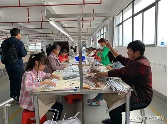 2025資料大全正版資料免費(fèi)時(shí)代來(lái)臨，2025正版資料免費(fèi)時(shí)代開啟