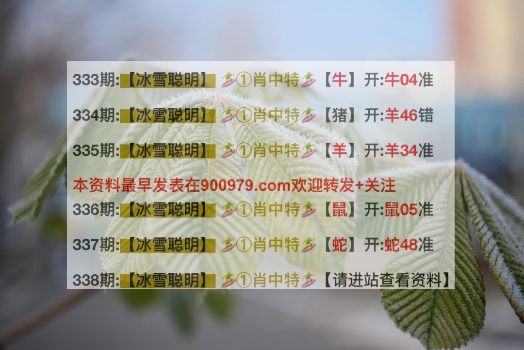 揭秘2025新澳精準正版澳門碼，一網(wǎng)打盡未來彩票趨勢，揭秘未來彩票趨勢，2025新澳精準正版澳門碼一網(wǎng)打盡