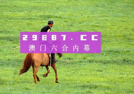 澳門49圖正版開獎，揭秘彩票背后的故事，澳門彩票背后的故事揭秘，49圖正版開獎探秘
