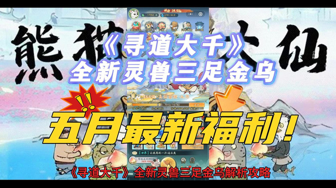 新奧天天資料大全三中三深度解析，新奧天天資料大全深度解析之三